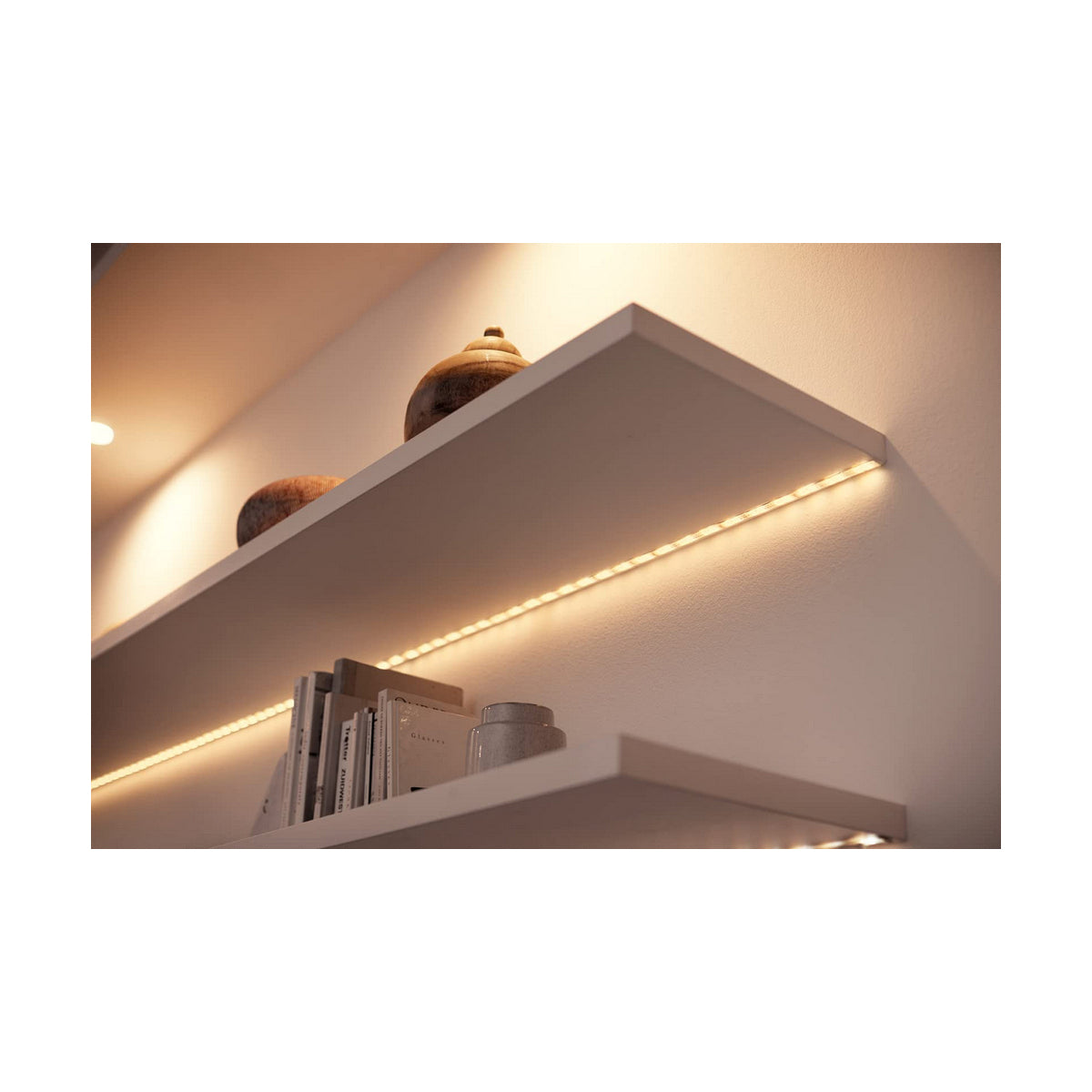 LED TOPPEPS PLEPS Wiz 1600 LM